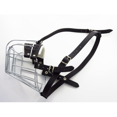 Botnita  Rottweiler mascul