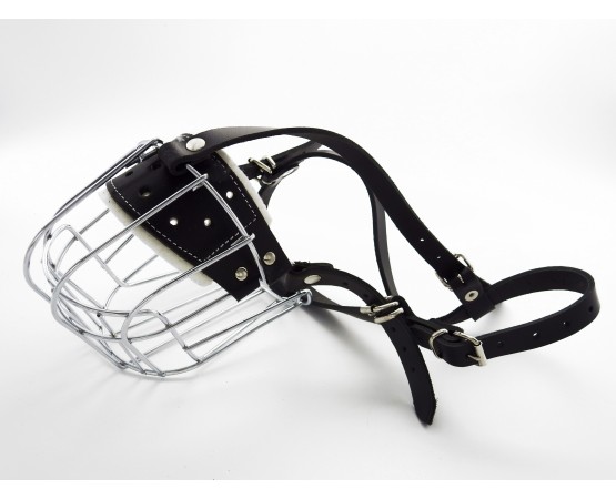 Botnita  Rottweiler mascul