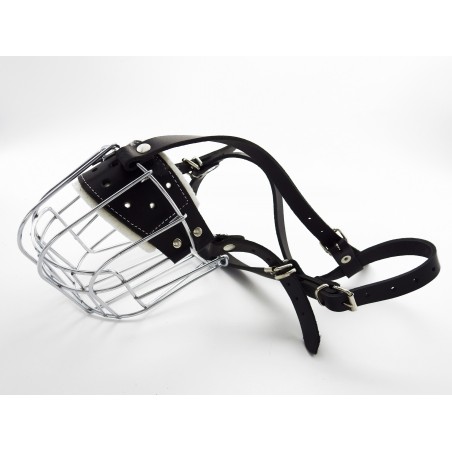 Botnita  Rottweiler mascul