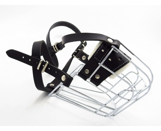 Botnita  Rottweiler mascul