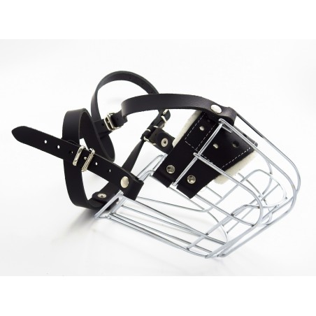 Botnita  Rottweiler mascul