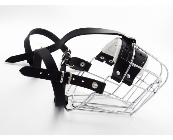 Botnita  Rottweiler mascul