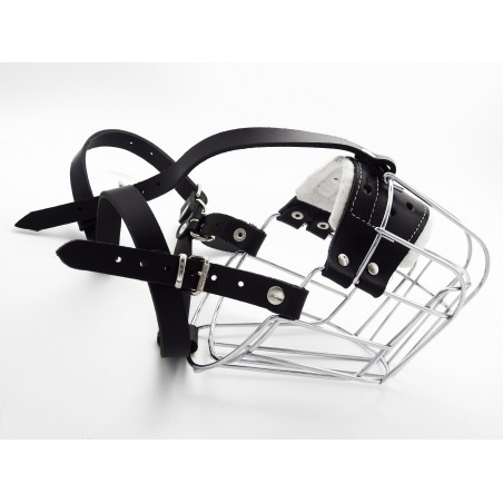 Botnita  Rottweiler mascul