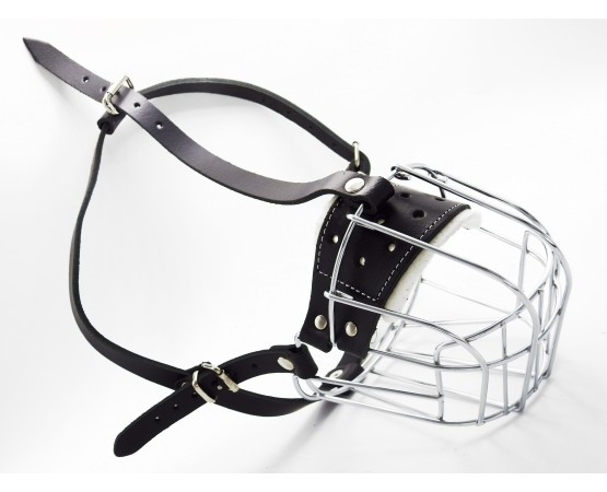 Botnita  Rottweiler mascul