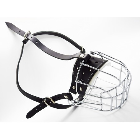 Botnita  Rottweiler mascul