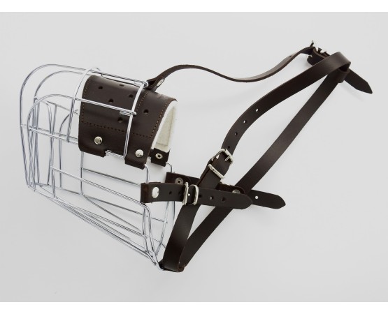 Botnita  femela rottweiler