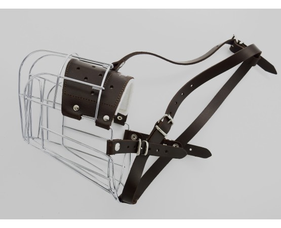 Botnita  femela rottweiler