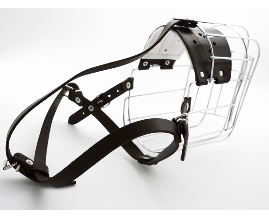 Botnita Ciobanesc Caucazian