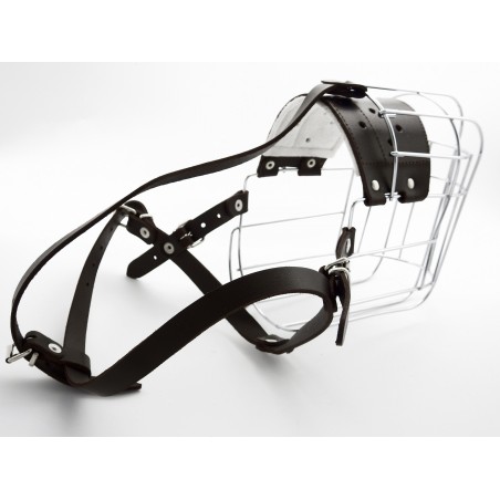 Botnita Ciobanesc Caucazian