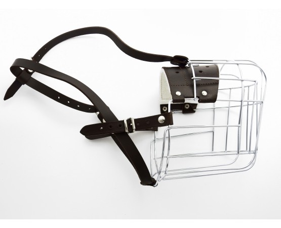 Botnita Ciobanesc Caucazian