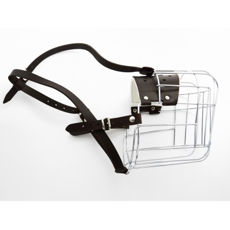 Botnita Ciobanesc Caucazian