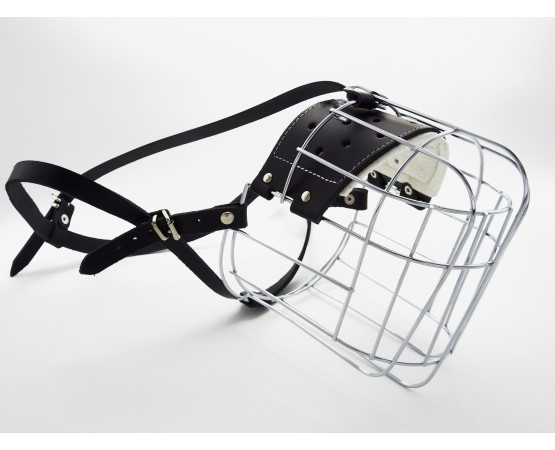 Botnita Ciobanesc Caucazian