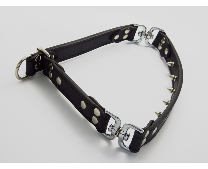 Zgarda de forta dresaj canin