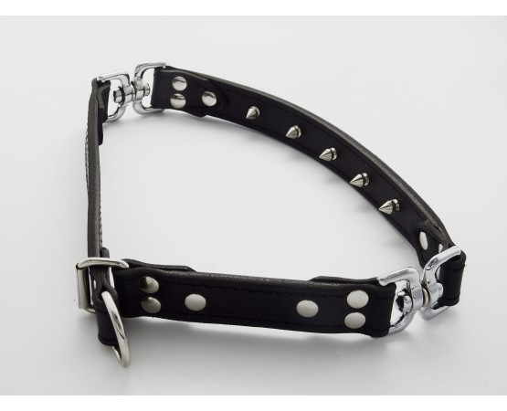 Zgarda de forta dresaj canin