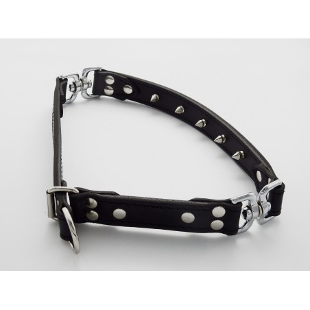 Zgarda de forta dresaj canin