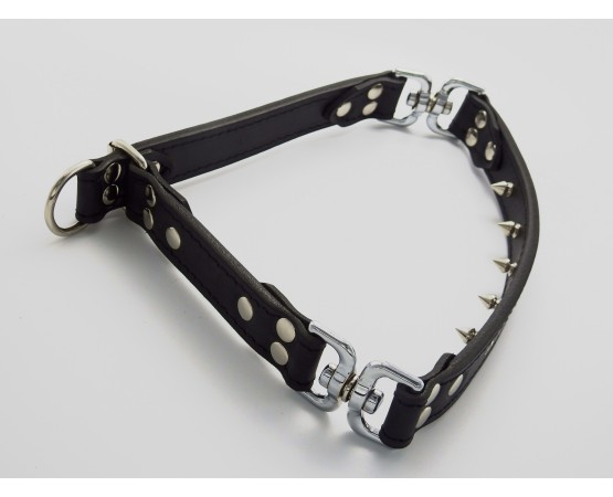 Zgarda de forta pentru dresaj canin