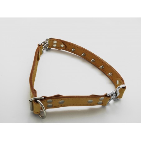 Zgarda de forta pentru dresaj canin