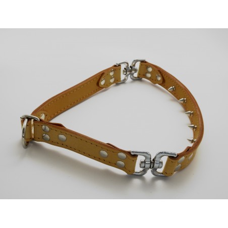 Zgarda de forta pentru dresaj canin