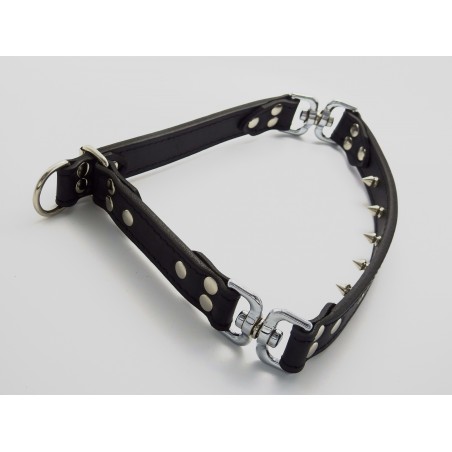 Zgarda de forta pentru dresaj canin