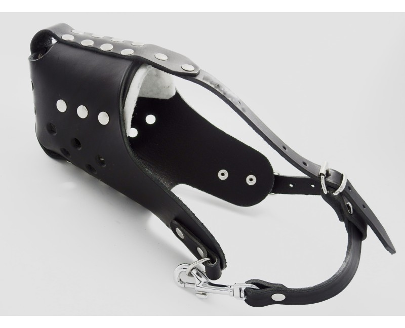 Botnita profesionala  din piele naturala pentru caini de tip Staff