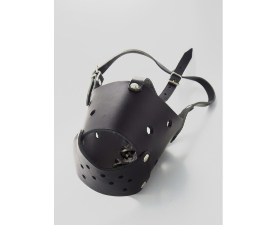 Botnita profesionala din piele naturala pentru BullTerrier