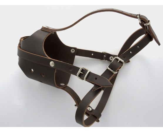 Botnita profesionala din piele naturala pentru Amstaff