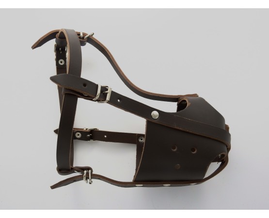 Botnita profesionala din piele naturala pentru Amstaff