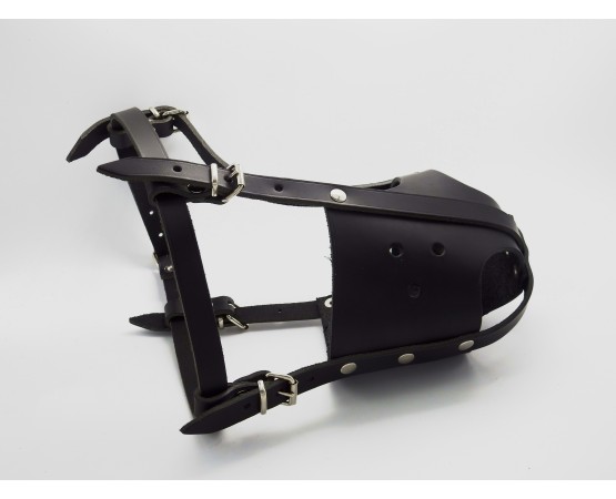 Botnita profesionala din piele naturala pentru Amstaff