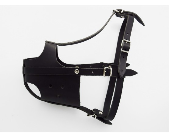 Botnita profesionala din piele naturala pentru Amstaff