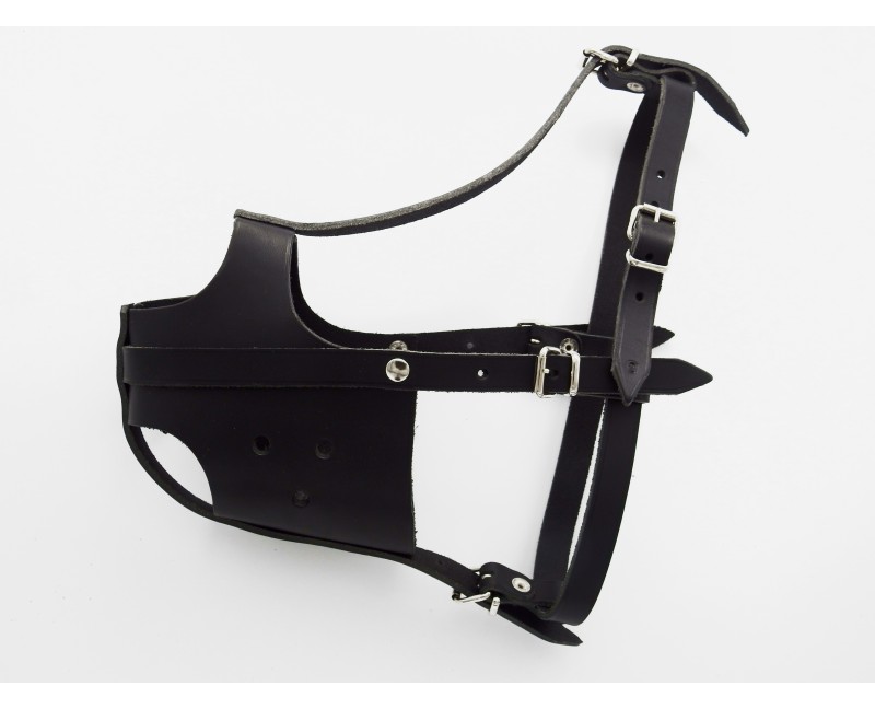 Botnita profesionala din piele naturala pentru Amstaff