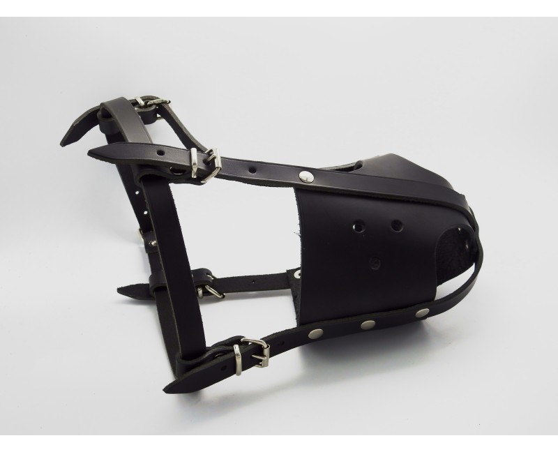 Botnita profesionala  din piele pentru Amstaff