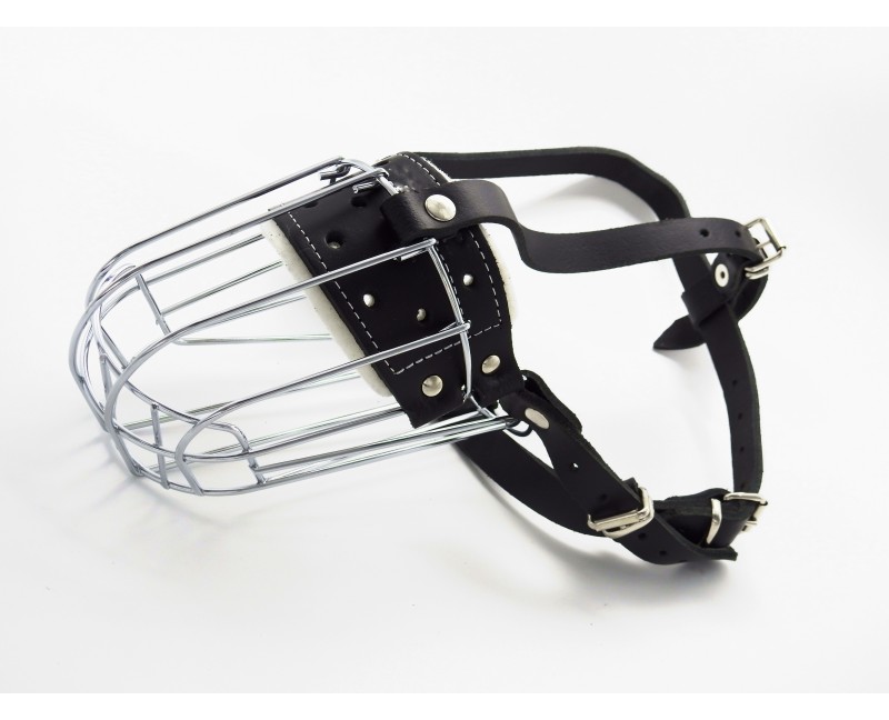 Botnita  pentru Dobermann 1