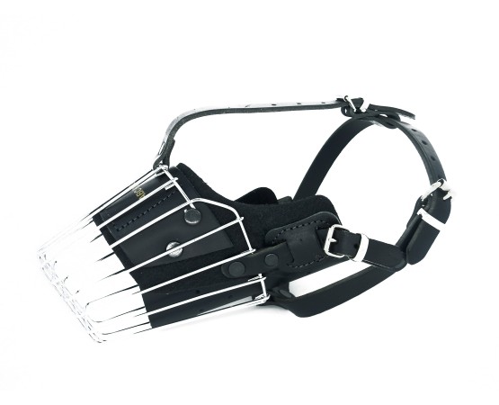 Botnita militara Malinois