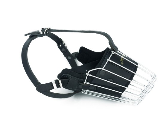 Botnita militara Malinois