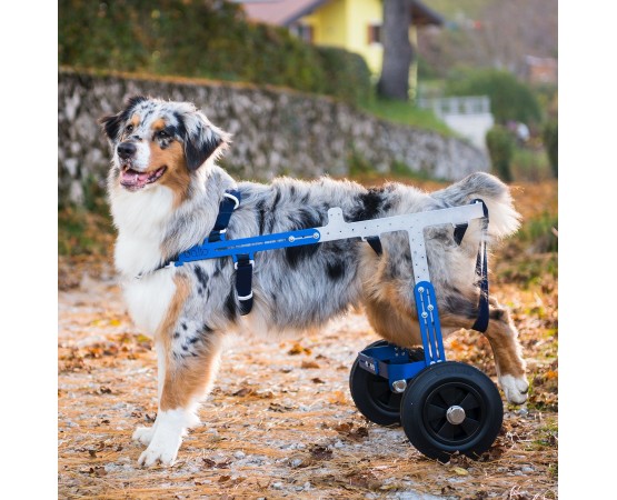 Carucior profesional pentru caini cu probleme ortopedice Balto Off - Road