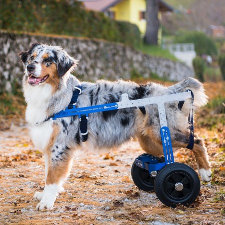 Carucior profesional pentru caini cu probleme ortopedice Balto Off - Road