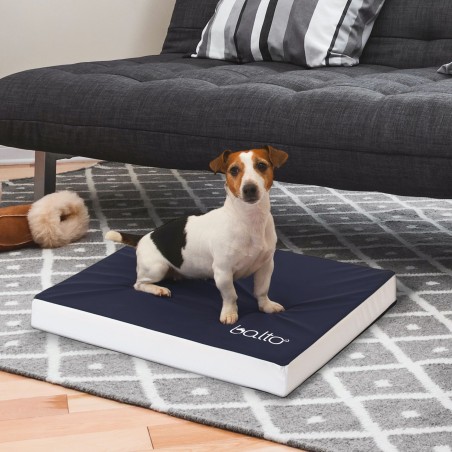 Saltea ortopedica profesionala pentru caini Balto Blue Carpet