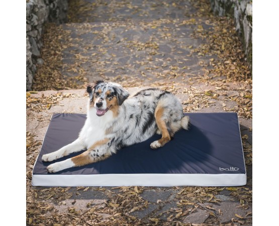 Saltea ortopedica profesionala pentru caini Balto Blue Carpet