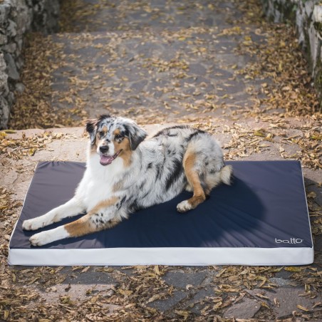 Saltea ortopedica profesionala pentru caini Balto Blue Carpet