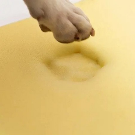 Saltea ortopedica profesionala pentru caini Balto Blue Carpet