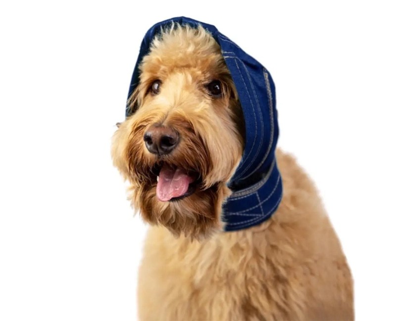 Dispozitiv profesional pentru probleme urechi caini No Flap Ear Wrap