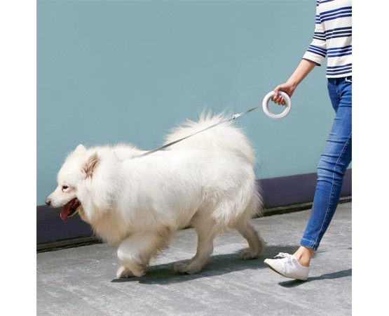 Lesa retractabila WAW DOG RingShaped