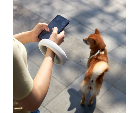 Lesa retractabila WAW DOG RingShaped