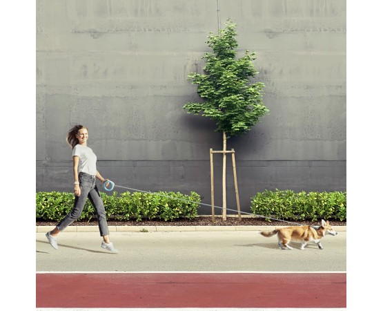 Lesa retractabila WAW DOG RingShaped