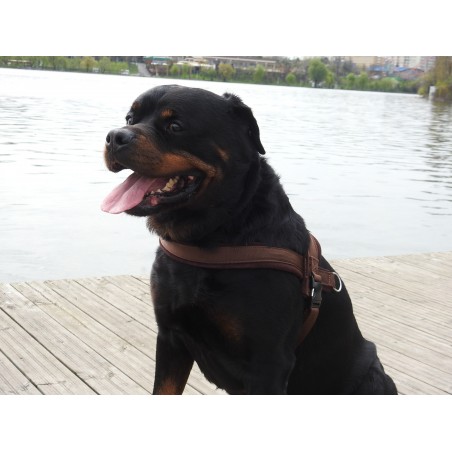 Ham de lucru pentru caini