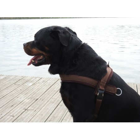 Ham de lucru pentru caini