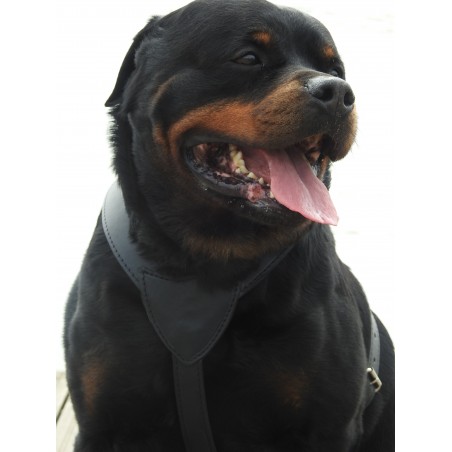 Ham din piele naturala pentru caini