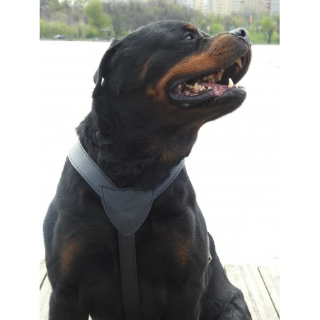 Ham din piele naturala pentru caini