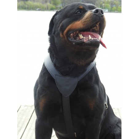 Ham din piele naturala pentru caini