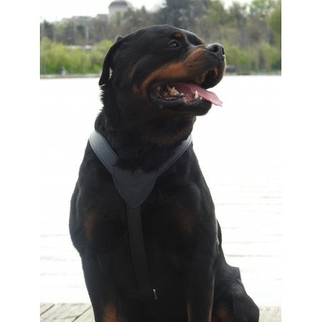 Ham din piele naturala pentru caini